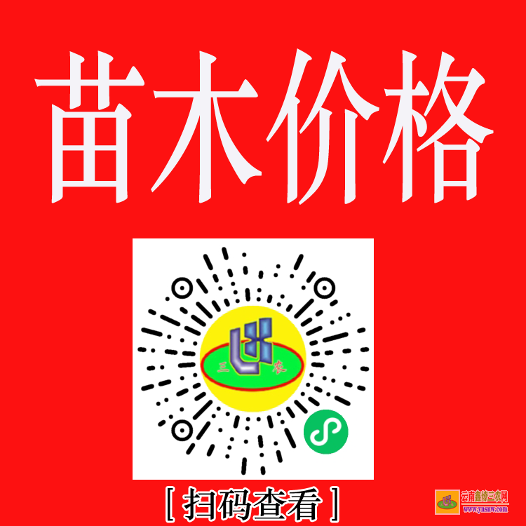 綏江免費查看苗木求購信息 綠化工程苗木報價清單 苗木價格網