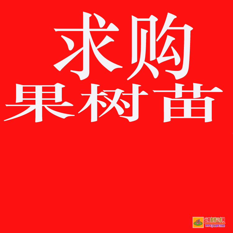 雙江2021苗木價格一覽表 苗木交易靠譜的網站 苗木求購信息平臺app