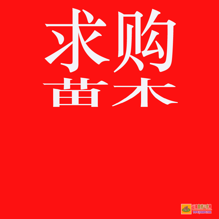 昭陽國內大的苗木求購信息網站 苗木推廣哪個網站好 綠化苗木價格表2020