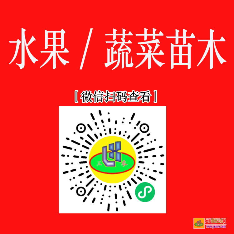巍山藥材苗哪里有賣 藥材苗木評估 藥材苗圖片大全大圖