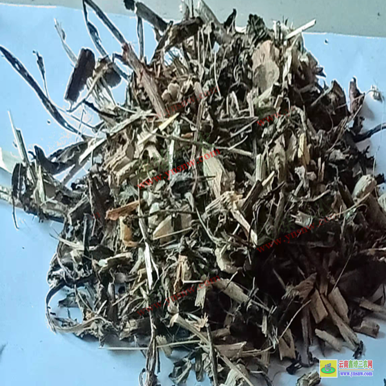 河北靈丹草哪里有賣| 靈丹草行情| 靈丹草批發查詢
