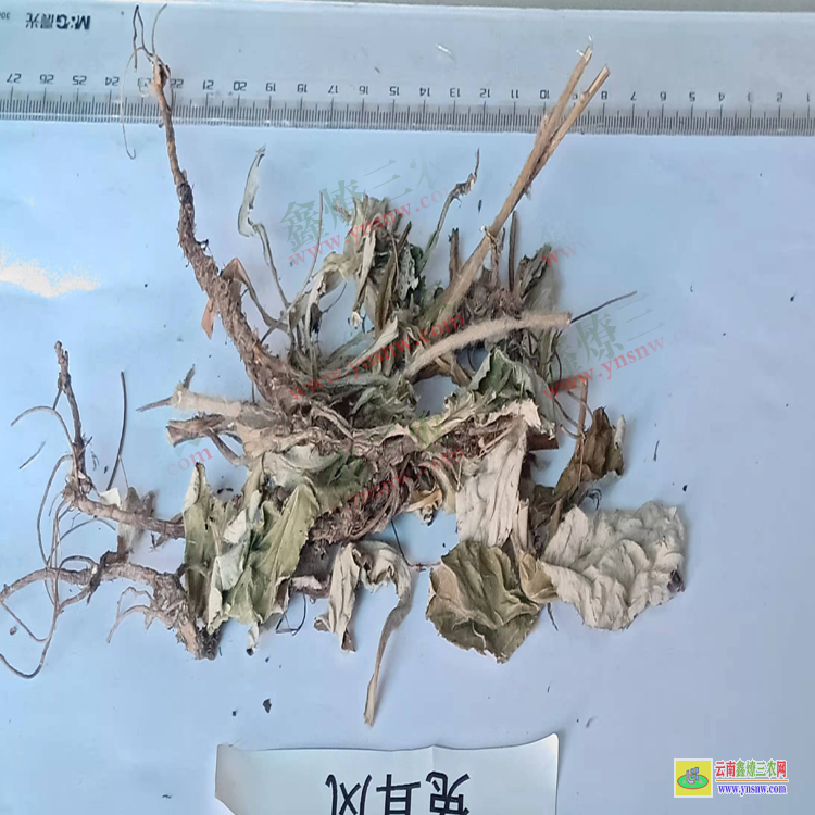 新疆兔耳風(fēng)價(jià)格| 行情查詢| 兔耳風(fēng)價(jià)格查詢網(wǎng)