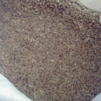 求購當(dāng)歸0.3篩，0.4篩以下的丁子