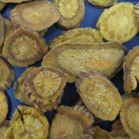 求購(gòu)黃柏雙面黃，馬鞭草各5噸