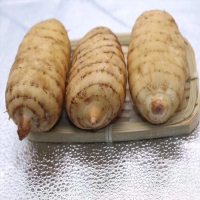 [藥廠采購(gòu)]丹參 天麻 赤芍 片姜黃 玄參 福建 湖南 凈貨，無(wú)發(fā)霉，須 根，片均勻 過(guò)0.5cm篩 《中國(guó)藥典》2020年版 一部