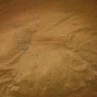 求購(gòu)海金沙新貨
