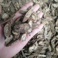 求購肉獨活，木香統(tǒng)貨