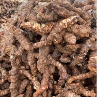 求購(gòu)?fù)淋蜍?，?shù)量2000kg，要求切片，具有粉性，無(wú)蟲(chóng)眼起霉現(xiàn)象，符合藥典檢測(cè)