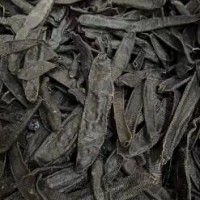 大量求購菲牛蛭干貨，要求有紋路的，藥廠采購八百公斤