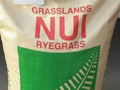 批發:進口草種子，國產牧草種子，花草種子，灌木種子圖5
