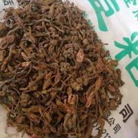鹿仙草〈回春草，小鎖陽(yáng)〉有要貨的嗎？干鮮貨都行
