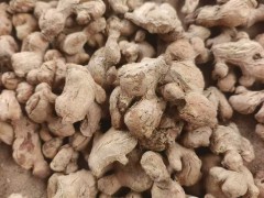 2023云南干姜片 云南干姜片收購 云南干姜片產(chǎn)地圖4