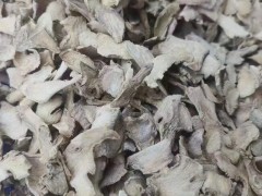 生姜批發價格行情一覽表今日 干姜市場價多少錢一斤 干姜價格圖1
