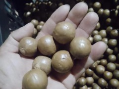 咖啡批發(fā)價(jià)格表   咖啡批發(fā)價(jià)格表圖片   咖啡批發(fā)價(jià)格查詢   咖啡批發(fā)價(jià)格多少圖3