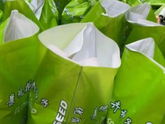 批發零售各類種子|誠信經營 只賣新種子 花卉種子圖3